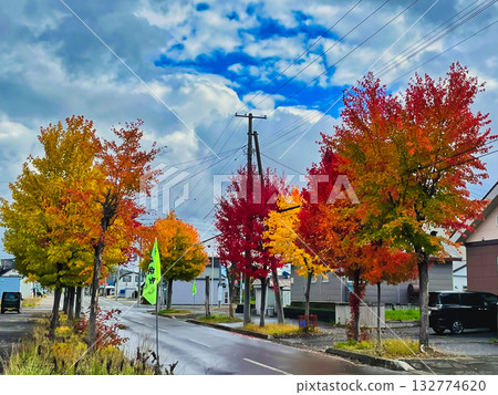 秋天的樹葉 秋天的樹葉 132774620