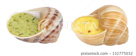 escargot snail filled with garlic and parsley butter isolated on white background escargot snail filled with garlic and parsley butter isolated on white background 132775032