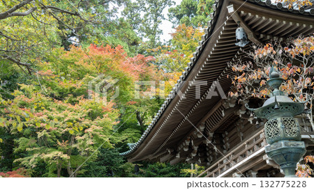 Yakuoji Temple on Mount Takao in autumn 132775228