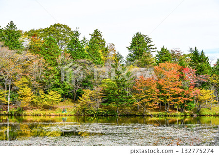 秋須山高原(愛知縣)的秋景 秋須山高原(愛知縣)的秋景 132775274