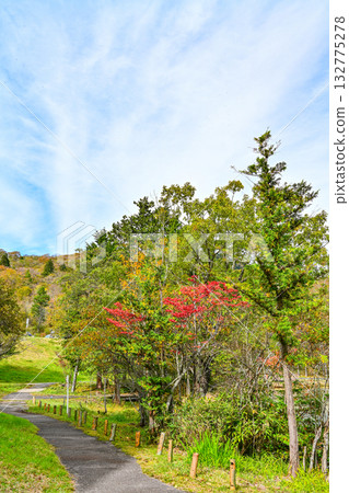 Autumn scenery of Chausuyama Plateau (Aichi Prefecture) Autumn scenery of Chausuyama Plateau (Aichi Prefecture) 132775278