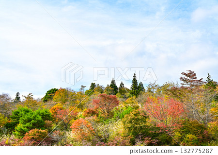 秋須山高原(愛知縣)的秋景 秋須山高原(愛知縣)的秋景 132775287
