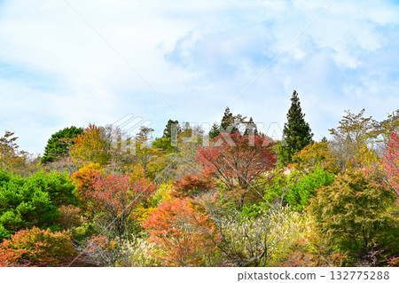 Autumn scenery of Chausuyama Plateau (Aichi Prefecture) Autumn scenery of Chausuyama Plateau (Aichi Prefecture) 132775288