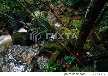 Waterfall in the rainforest along mossy rocks amidst the lush green trees of the forest. Waterfall in the rainforest along mossy rocks amidst the lush green trees of the forest. 132775317
