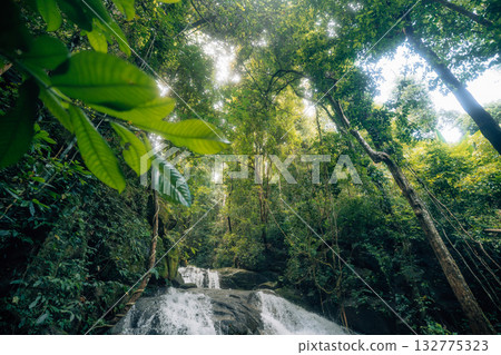 Waterfall in the rainforest along mossy rocks amidst the lush green trees of the forest. Waterfall in the rainforest along mossy rocks amidst the lush green trees of the forest. 132775323