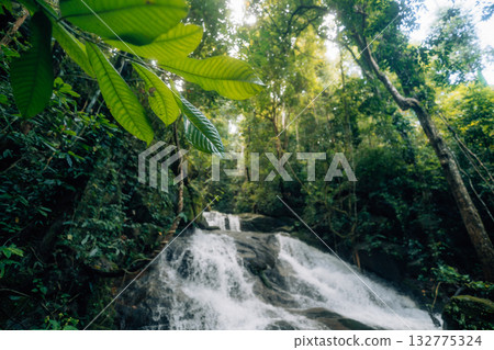 Waterfall in the rainforest along mossy rocks amidst the lush green trees of the forest. Waterfall in the rainforest along mossy rocks amidst the lush green trees of the forest. 132775324