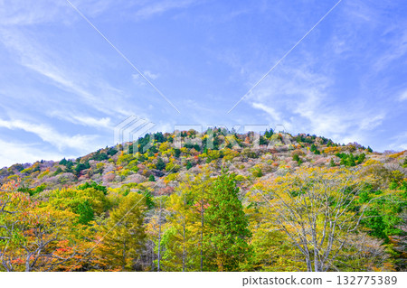 Autumn scenery of Chausuyama Plateau (Aichi Prefecture) Autumn scenery of Chausuyama Plateau (Aichi Prefecture) 132775389