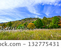Autumn scenery of Chausuyama Plateau (Aichi Prefecture) Autumn scenery of Chausuyama Plateau (Aichi Prefecture) 132775431