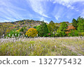 Autumn scenery of Chausuyama Plateau (Aichi Prefecture) Autumn scenery of Chausuyama Plateau (Aichi Prefecture) 132775432