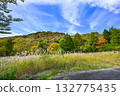 Autumn scenery of Chausuyama Plateau (Aichi Prefecture) Autumn scenery of Chausuyama Plateau (Aichi Prefecture) 132775435