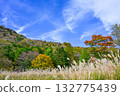 Autumn scenery of Chausuyama Plateau (Aichi Prefecture) Autumn scenery of Chausuyama Plateau (Aichi Prefecture) 132775439