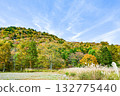 Autumn scenery of Chausuyama Plateau (Aichi Prefecture) Autumn scenery of Chausuyama Plateau (Aichi Prefecture) 132775440