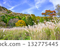 Autumn scenery of Chausuyama Plateau (Aichi Prefecture) Autumn scenery of Chausuyama Plateau (Aichi Prefecture) 132775445