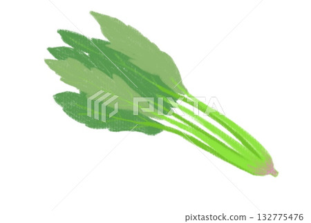 簡單的菠菜圖 簡單的菠菜圖 132775476