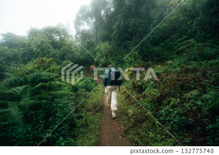 Hiking, backpacking, trekking through the forest and thick fog 132775748
