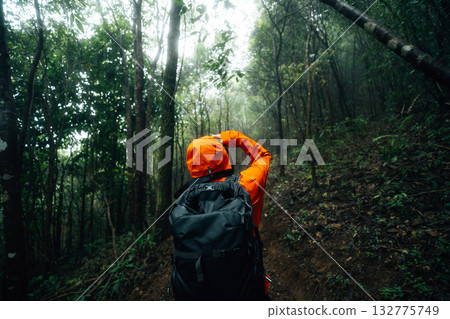 Hiking, backpacking, trekking through the forest and thick fog 132775749