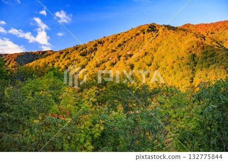 Lake Okutadami Best time to see autumn leaves 132775844