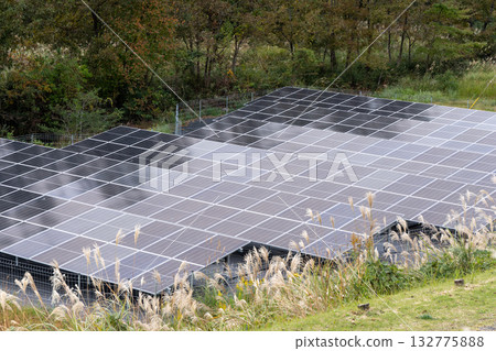 Solar power plant surrounded by weeds 132775888