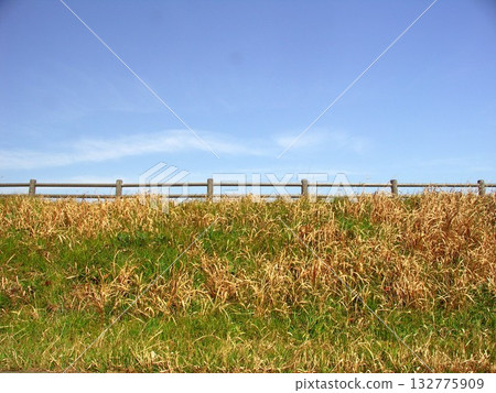 Young grass and blue sky on the drainage channel bank in early spring 132775909