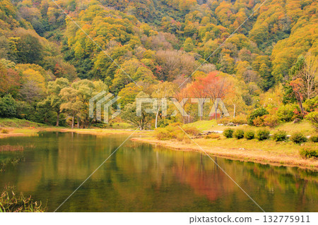 湯澤高原全景公園阿爾卑斯之裡 132775911