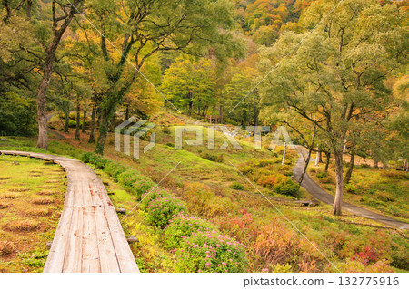 湯澤高原全景公園阿爾卑斯之裡 132775916