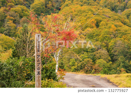 Yuzawa Kogen Panorama Park Alp no Sato 132775927