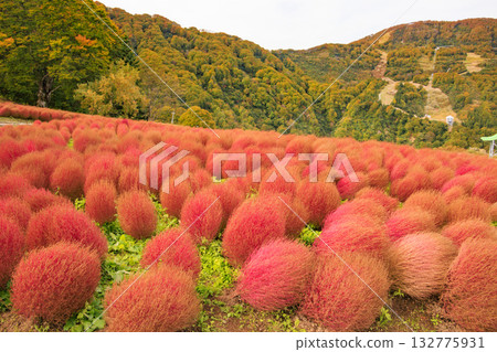 湯澤高原全景公園阿爾卑斯之裡 湯澤高原全景公園阿爾卑斯之裡 132775931