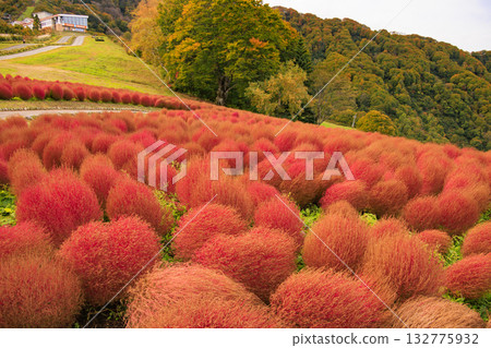 Yuzawa Kogen Panorama Park Alp no Sato 132775932