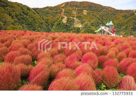 湯澤高原全景公園阿爾卑斯之裡 湯澤高原全景公園阿爾卑斯之裡 132775933