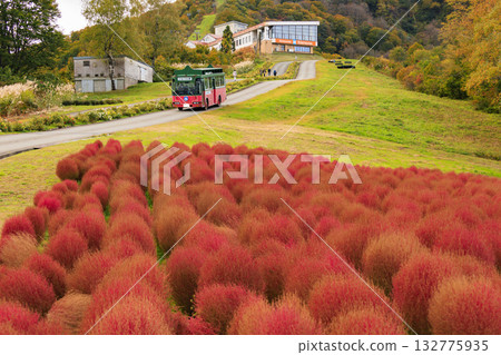 湯澤高原全景公園阿爾卑斯之裡 132775935