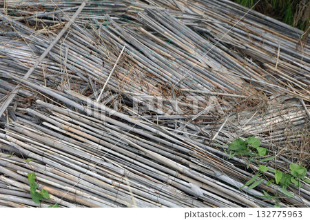 Stacked bamboo sticks resting on ground in natural setting during day Stacked bamboo sticks resting on ground in natural setting during day 132775963