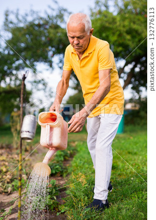 Senior man watering strawberry shrubs Senior man watering strawberry shrubs 132776113