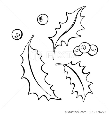 Vector black and white illustration of a Christmas holly plant. Christmas graphics are hand drawn. For the design of holiday packaging, textiles, cards, invitations, gifts, accessories Vector black and white illustration of a Christmas holly plant. Christmas graphics are hand drawn. For the design of holiday packaging, textiles, cards, invitations, gifts, accessories 132776225
