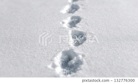 Human footprints in white fresh snow on winter landscape background 132776300