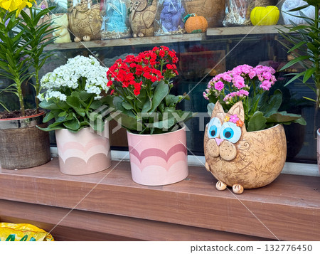Colorful flowers in decorative pots with a cute cat planter on a shop window. Joyful design, everyday creativity, and the playful charm of urban street decor. 132776450