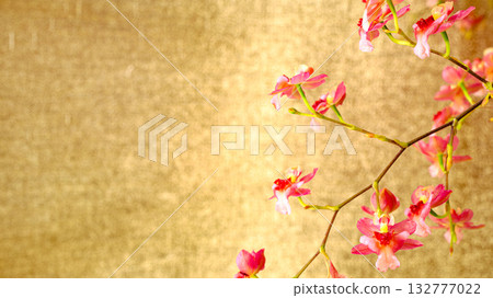 Pink twinkle flower close-up Pink twinkle flower close-up 132777022