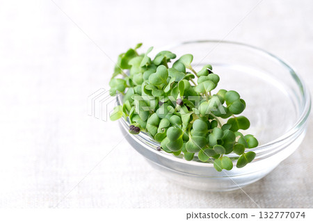 Black mustard, fresh sprouts in a small dipping glass bowl, on linen, close-up front view. Seedlings and shoots of Brassica nigra, an edible herb, used as wholesome and spicy salad garnish. 132777074