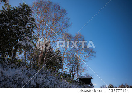 Snow-piled wood 132777164
