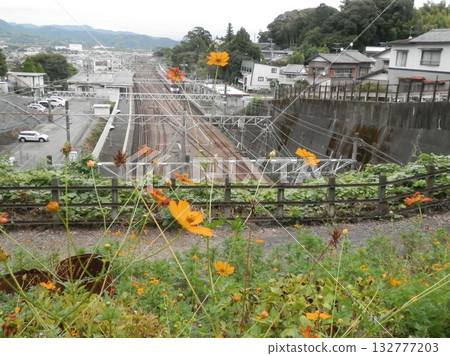 Aerial view of the Tokaido Kanaya railway line in Kanaya, Aichi Prefecture Aerial view of the Tokaido Kanaya railway line in Kanaya, Aichi Prefecture 132777203