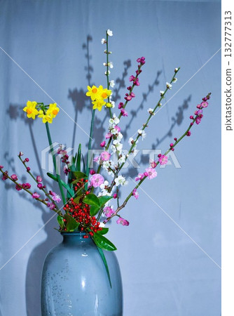 紅白相間的梅花和水仙花 紅白相間的梅花和水仙花 132777313