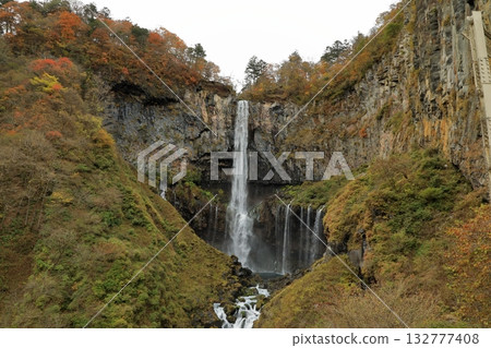 華嚴瀑布的秋葉(栃木縣日光市) 華嚴瀑布的秋葉(栃木縣日光市) 132777408