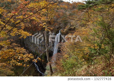 Autumn leaves at Kegon Falls (Nikko City, Tochigi Prefecture) 132777416