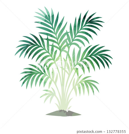Watercolor areca palm tree object. Hand drawn. Not AI, vector illustration. Watercolor areca palm tree object. Hand drawn. Not AI, vector illustration. 132778355