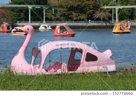 公園裡的腳踏天鵝船 132778660