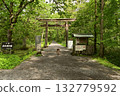 Togakushi Shrine Okusha Torii Gate surrounded by fresh greenery 132779592