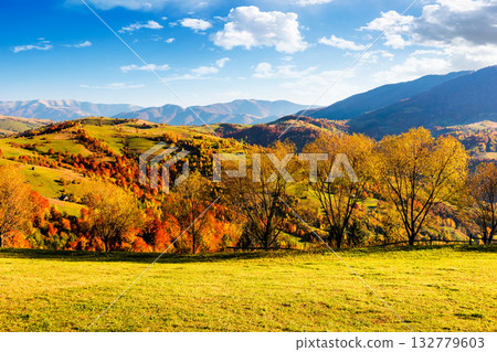 mountain landscape in autumn. beautiful view with trees in colorful foliage. picturesque rural place in carpathian alps on a sunny day. countryside scenery in synevyr national park of ukraine mountain landscape in autumn. beautiful view with trees in colorful foliage. picturesque rural place in carpathian alps on a sunny day. countryside scenery in synevyr national park of ukraine 132779603