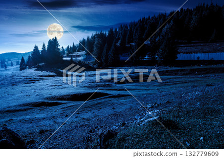 beautiful mountain landscape in autumn at night. coniferous forest in natural park. rural valley with grassy pastures on hills in misty weather. amazing countryside in full moon light 132779609