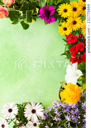 A beautiful collection of spring flowers decorates a balcony or terrace, creating a lively and cheerful atmosphere. Various colors and types of flowers bring joy to the space. A beautiful collection of spring flowers decorates a balcony or terrace, creating a lively and cheerful atmosphere. Various colors and types of flowers bring joy to the space. 132779864