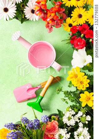 A bright and lively balcony showcases a variety of spring flowers in full bloom. Gardening tools are arranged artfully among the colorful petals, inviting creativity and joy. 132779888