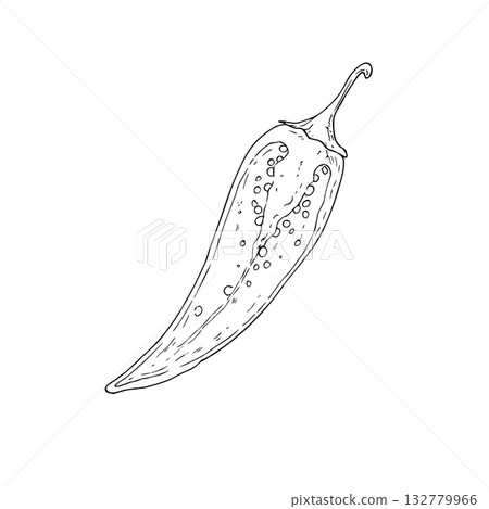 Vector red chili pepper in section. Hand drawn spicy paprika with seeds illustration perfect for organic branding. Detailed design ideal for food ingredient, aromatherapy, cooking. For cosmetic Vector red chili pepper in section. Hand drawn spicy paprika with seeds illustration perfect for organic branding. Detailed design ideal for food ingredient, aromatherapy, cooking. For cosmetic 132779966